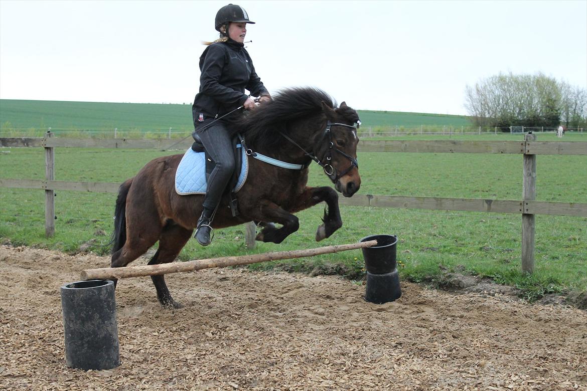 Islænder vigdis fra tågelundgård!:-* - WOW du er fantastisk :-*<3<3 Foto: Julie med mit Kamera :-D<3 billede 4