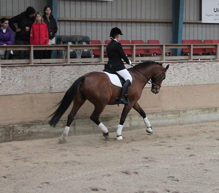 Oldenborg Complete billede 7