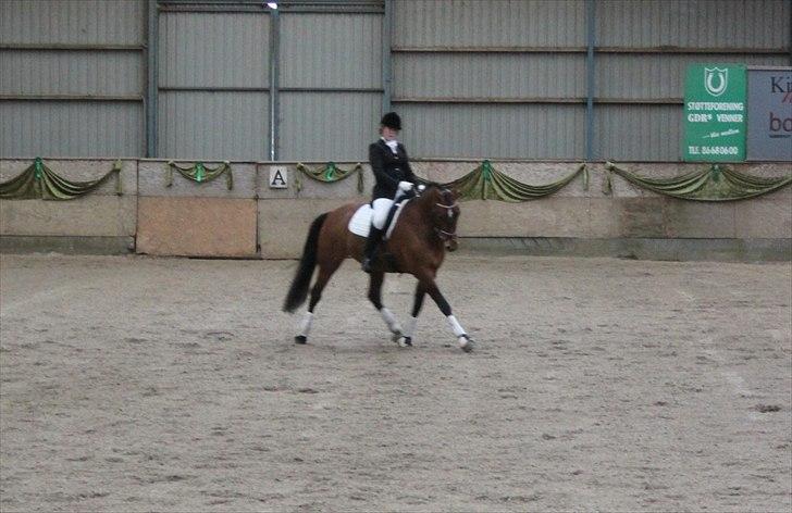 Oldenborg Complete billede 8