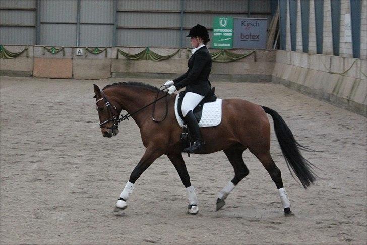 Oldenborg Complete billede 9