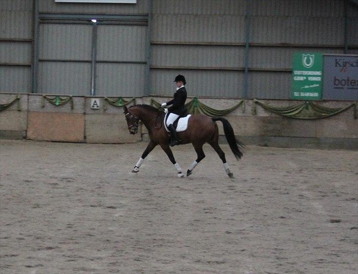 Oldenborg Complete billede 10