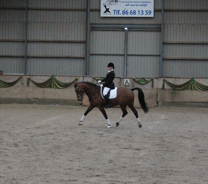 Oldenborg Complete billede 11