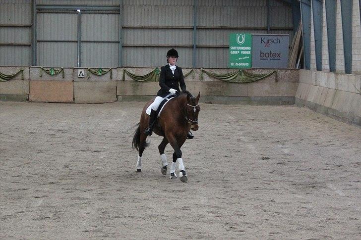 Oldenborg Complete billede 12