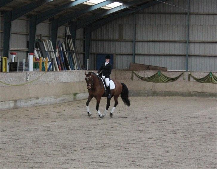 Oldenborg Complete billede 13