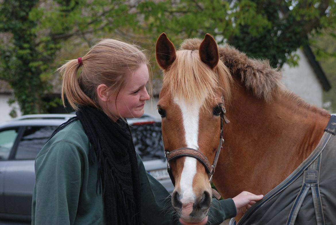 Tysk Sportspony Kim - Min elskede pony og jeg d. 28 april 2012 - dagen hvor vi sagde farvel efter 4 fantastiske år! 
I will always love you billede 2
