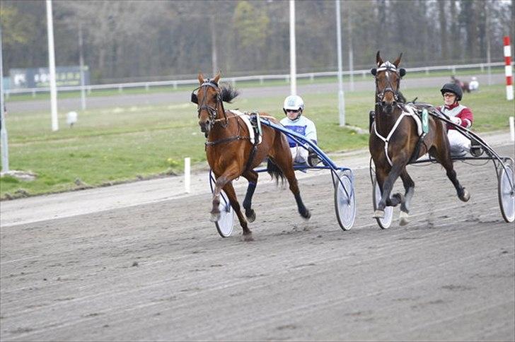 Traver Nicholas Bit - Afcantring inden løb billede 4
