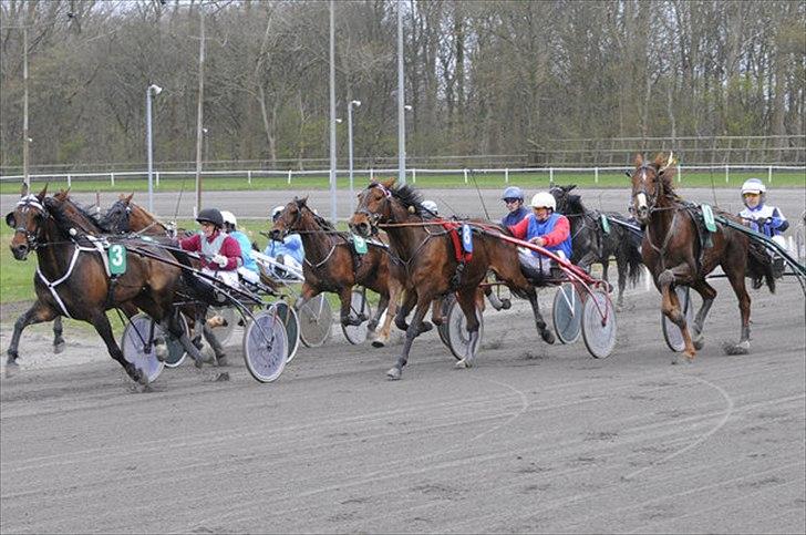 Traver Nicholas Bit - På vej ind i opløbet i hans seneste start (22. april 2012) billede 6