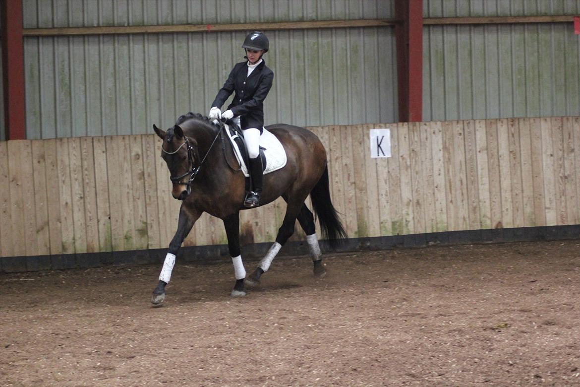 Oldenborg Drisdal's Faith - d. 28/4-12 billede 18