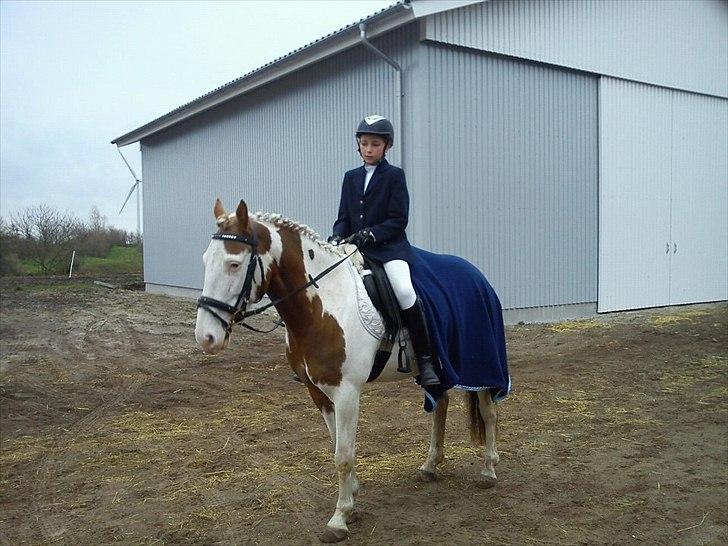 Paint Rosenlyst´s Shane!<3 (Bertil) billede 10