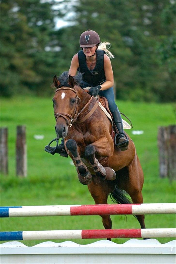 Hollandsk Varmblod Telrite (Rita) - Springundervisning billede 20