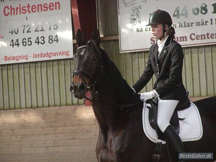 Anden særlig race Rioja - billed taget af: Malene, benjamin :D billede 12