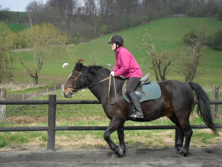 Connemara Limelight billede 15