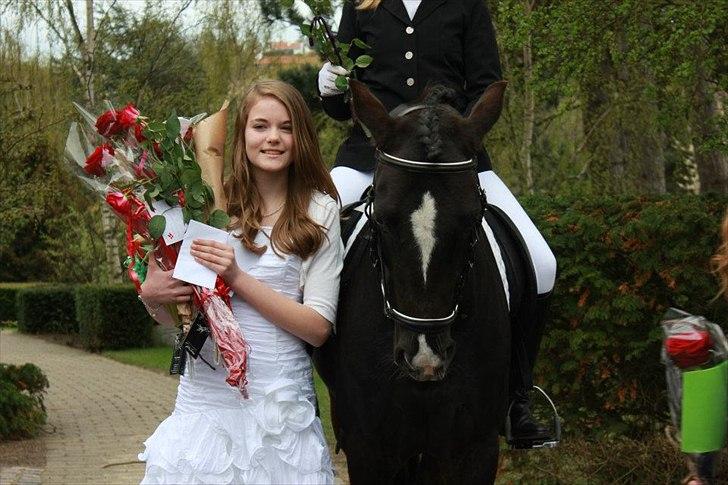 DSP Solvanggårds Diadem - Den bedste dag i mit liv - 28. april 2012 som du var med til at fejre <3<3<3 billede 8