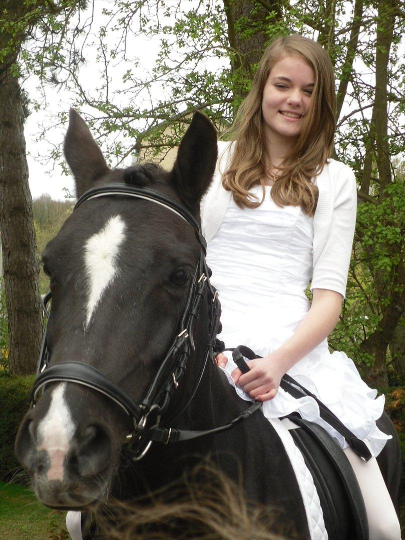 DSP Solvanggårds Diadem - Min konfirmation 28. april 2012 <3 billede 18