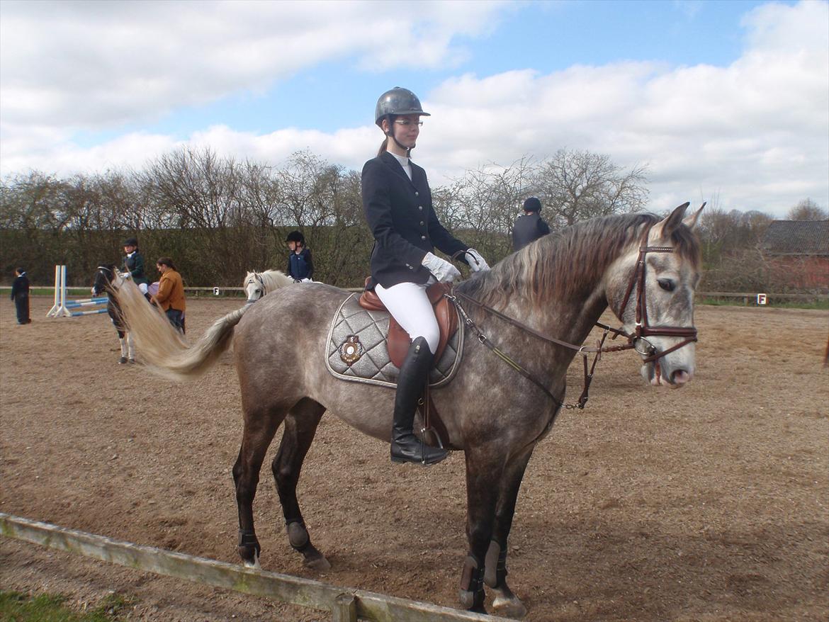 Pura Raza Española Campanero *Æseløre* billede 16