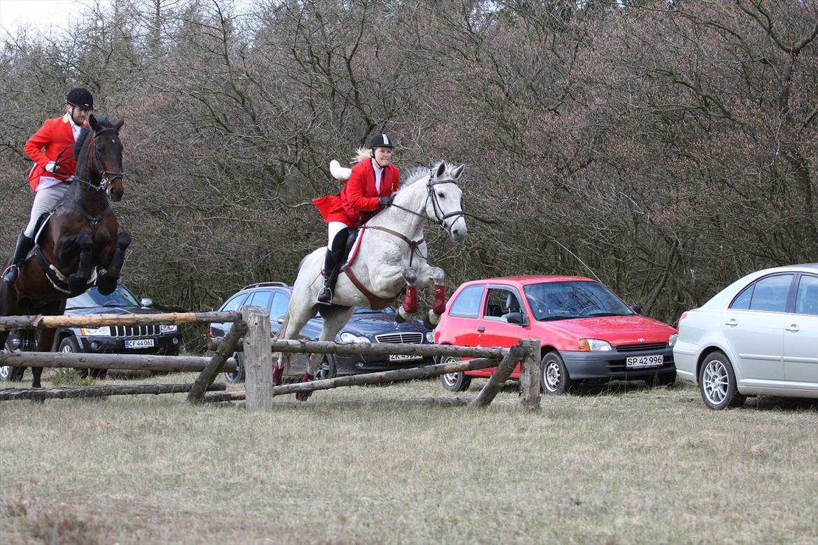 Dansk Varmblod Winzal Star - MJJR jagt 27/5-2012 billede 13