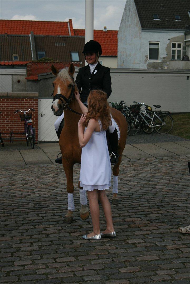 DSP Bæklunds Light - 3.
Konfirmation 22 april 2012 <3 billede 3