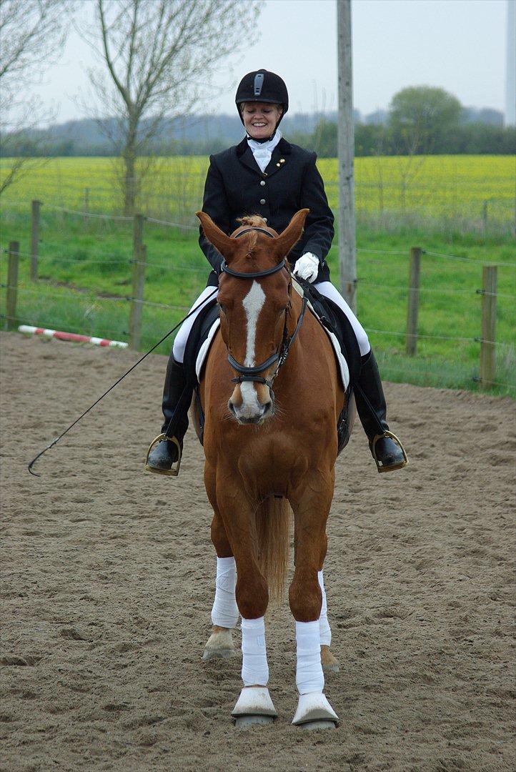Belgisk varmblod Bocaccio Du Riou - Dressur stævne d.28/4-2012 billede 14