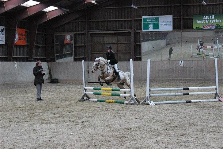 Appaloosa Plet - Springstævne - 2012
(28-4-12)

 billede 4