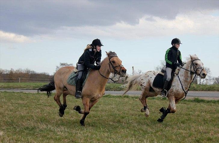 Anden særlig race Titan - På tur med Marie og Emilie
Foto: Ellen ;D billede 13