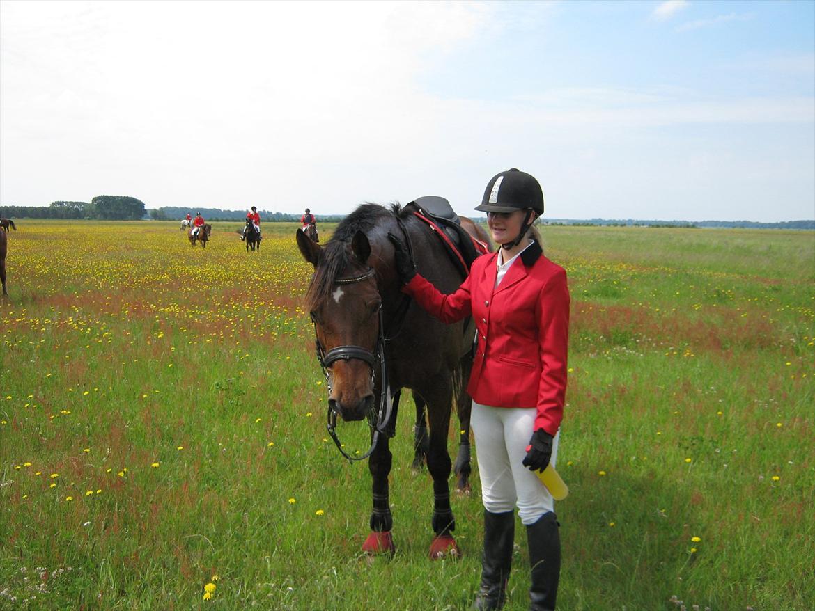 Trakehner Piccadelly  - Fra en jagt sidste år :) billede 9