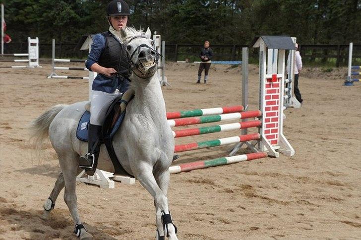 Connemara Philipstatt's Gaia, min soulmate billede 15