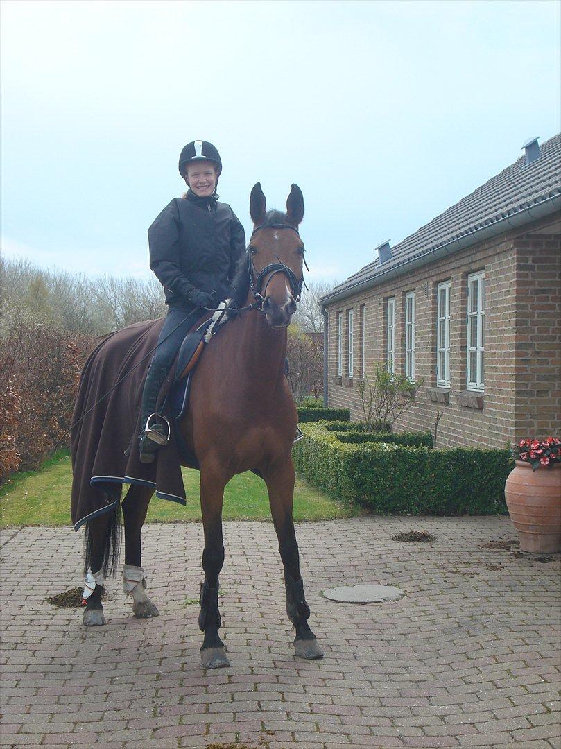 Dansk Varmblod Alicia - Et smut hjemme i haven 2012! <3 billede 3