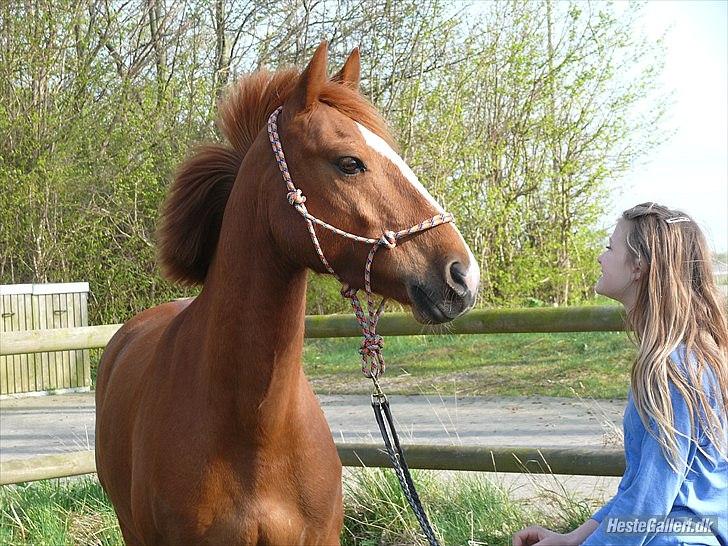 Anden særlig race Ravnsagergaards Torino - Foto: Helena med hendes kamera billede 6