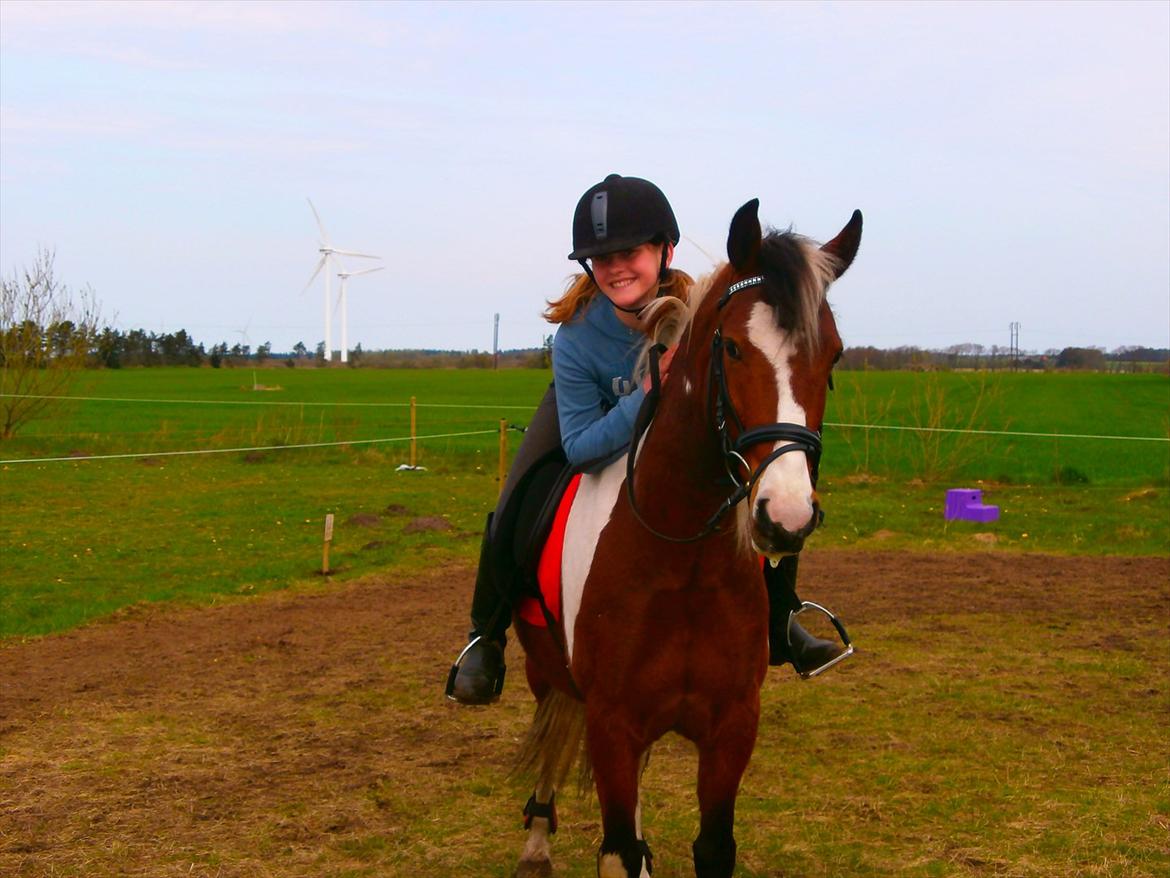 Pinto lyna SOLGT billede 3