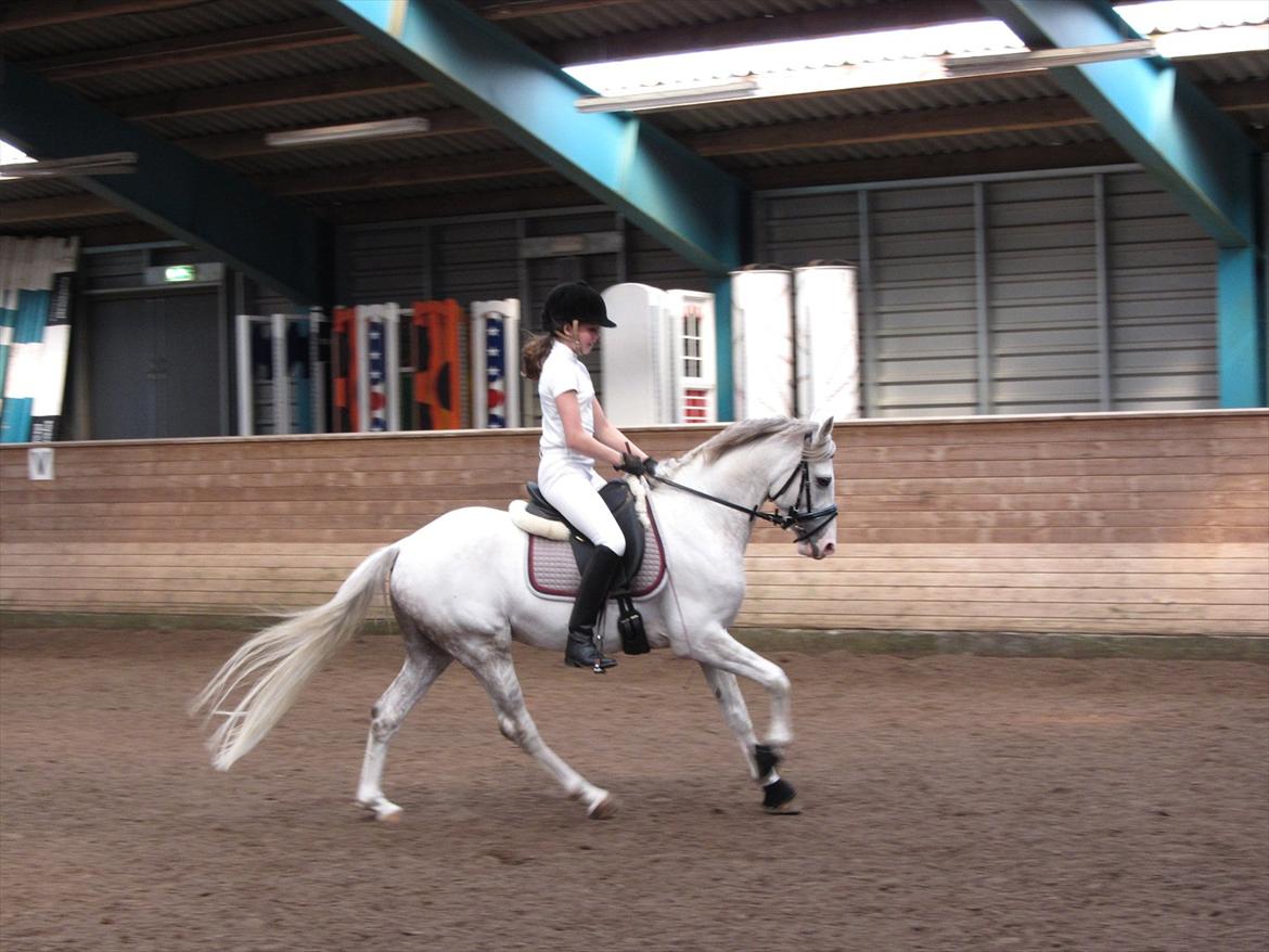 DSP Armani billede 3