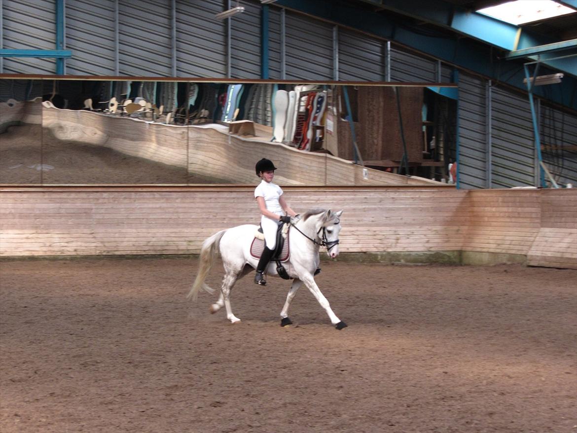 DSP Armani billede 10