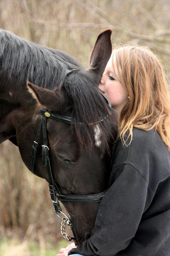 Hannoveraner Weltonas Star † - Torsdag d. 12 april 2012 
Sidste billedeserie med Willy.  billede 13