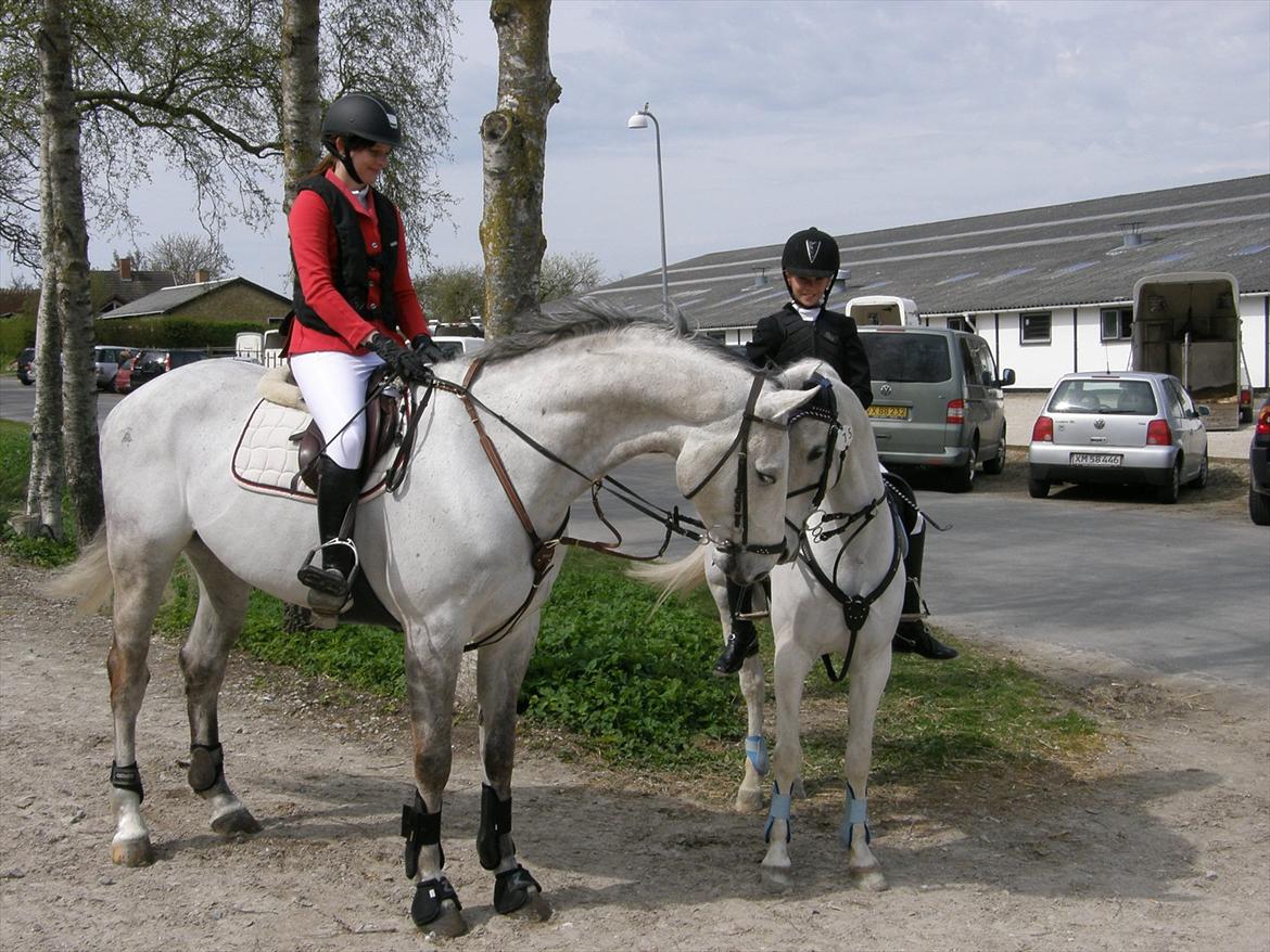 Dansk Varmblod Møgelbjerg's Carreras - Gamle pony Chagall, og Carly <3 billede 13