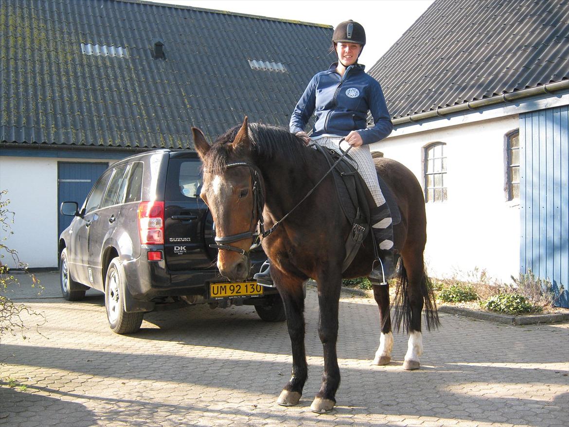 Traver Kingston Net billede 1