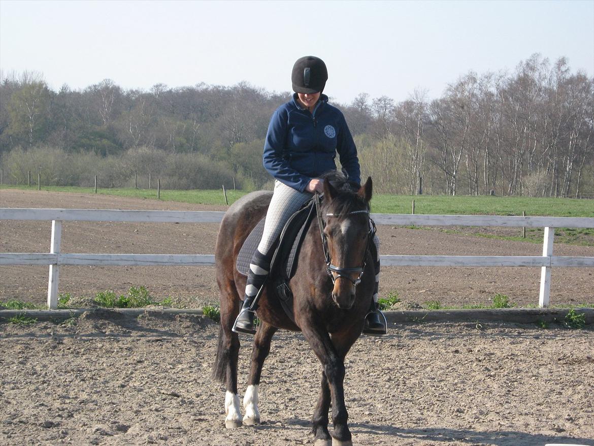 Traver Kingston Net billede 2