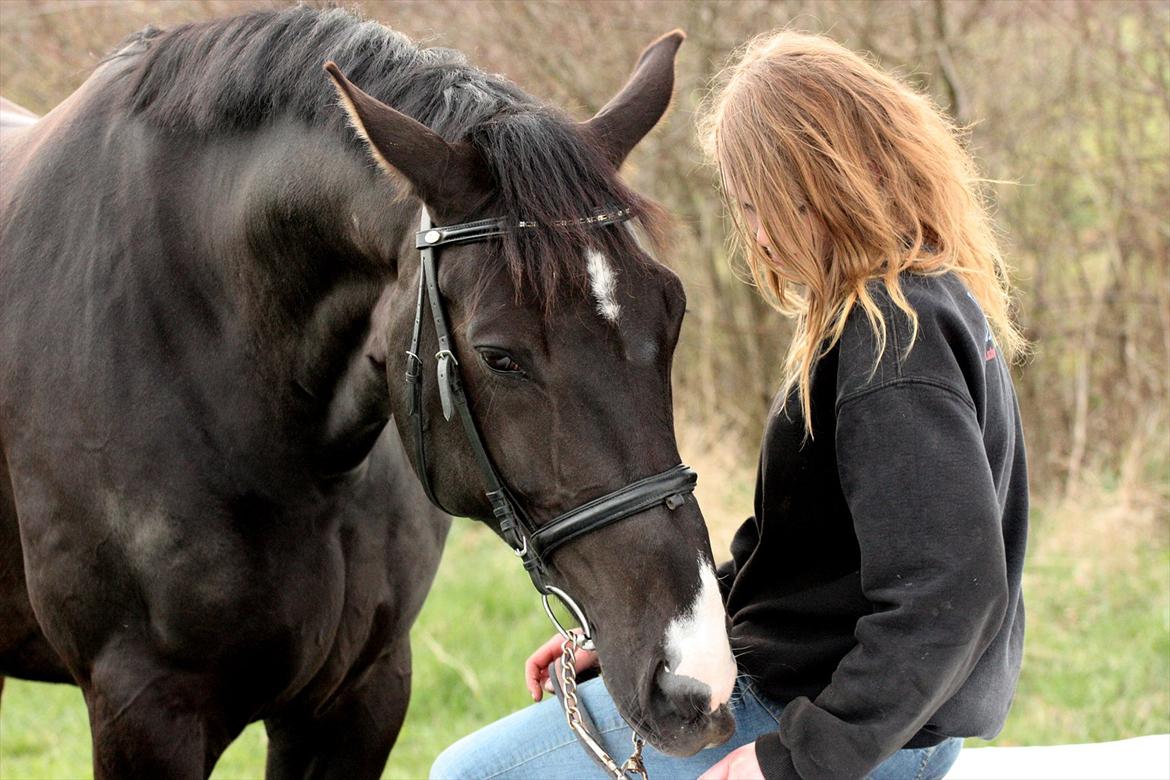 Hannoveraner Weltonas Star † - Torsdag d. 12 april 2012 
Sidste billedeserie med Willy.  billede 14