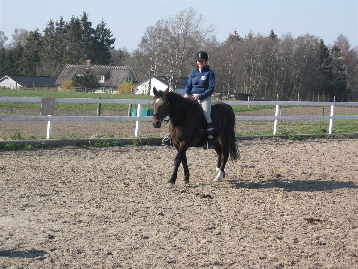 Traver Kingston Net billede 3