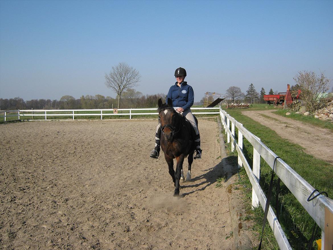 Traver Kingston Net billede 4