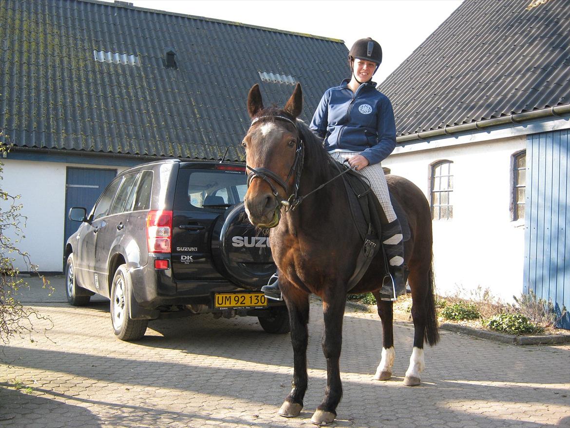 Traver Kingston Net billede 5