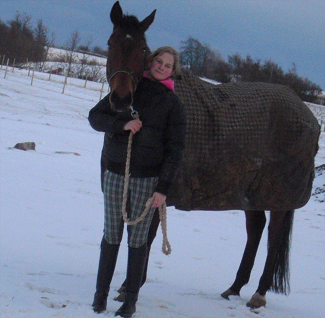 Fuldblod (XX) Colour Blind (Ire) - **"Hesten er en genspejling af dig, det er dig der fejler ikke den" billede 10