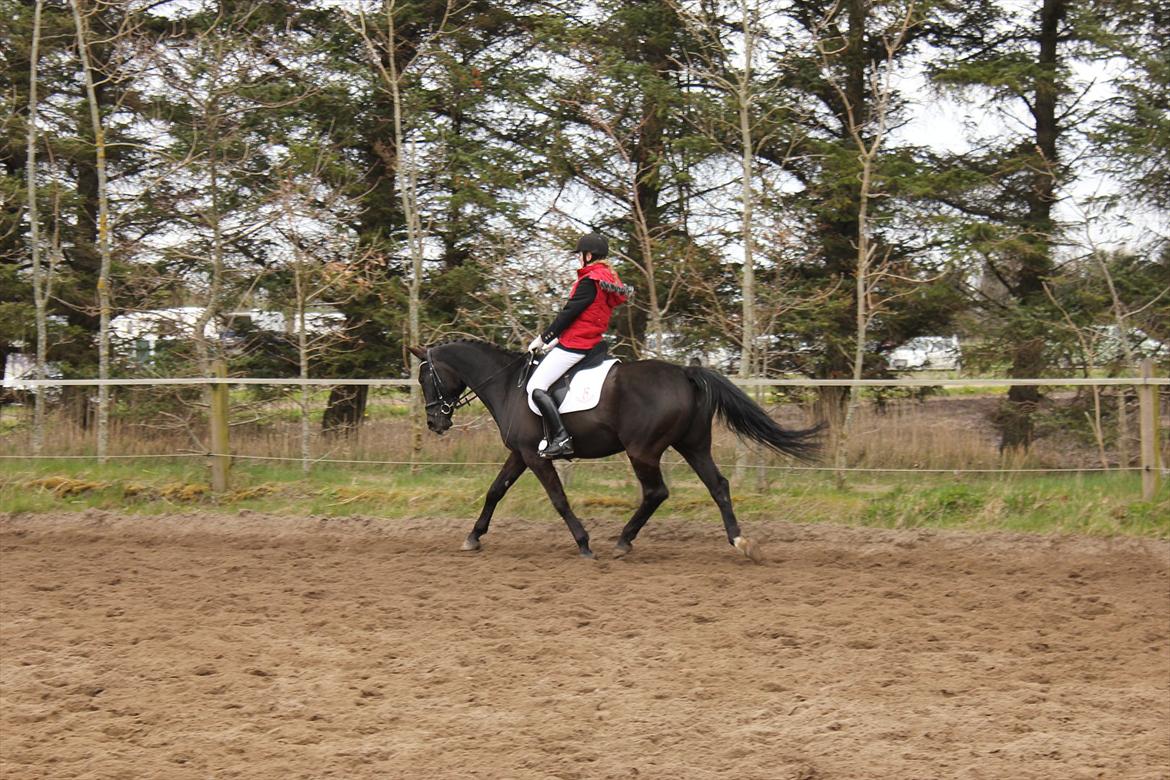 Oldenborg Cassiopeia (TUT) - Opvarmning til stævne i HHH! billede 13