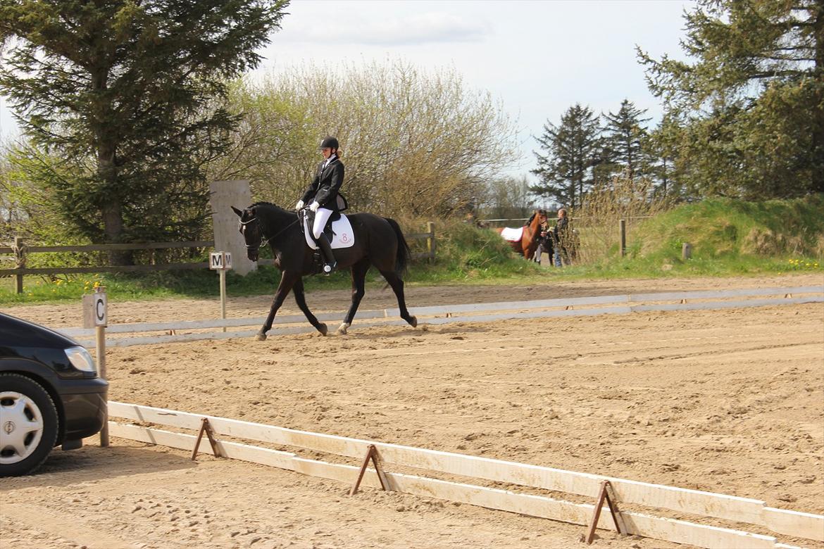 Oldenborg Cassiopeia (TUT) - LA1 i HHH!<3 billede 15