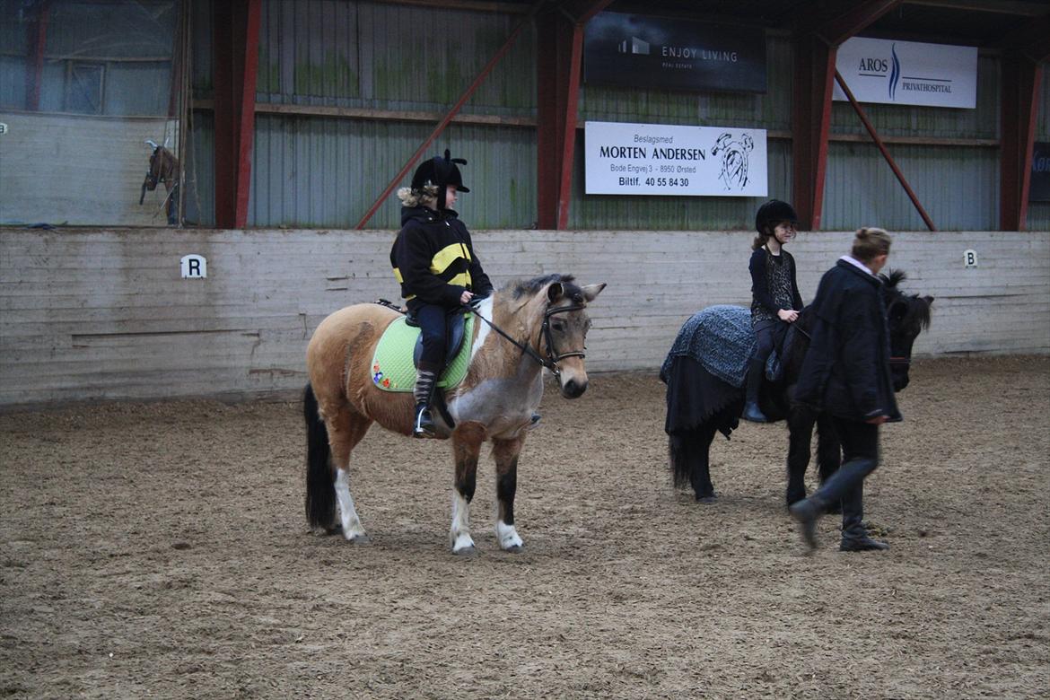 Anden særlig race Bonni - Jeg er klædt ud som bi og Bonni som skovbund... billede 3