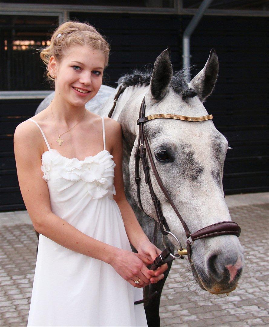 Hollandsk Sportspony Kylah W - Dette her billede er taget til min konfirmation, den bedste dag og den bedste pony <3
foto af Emma Sjelle <3 billede 3