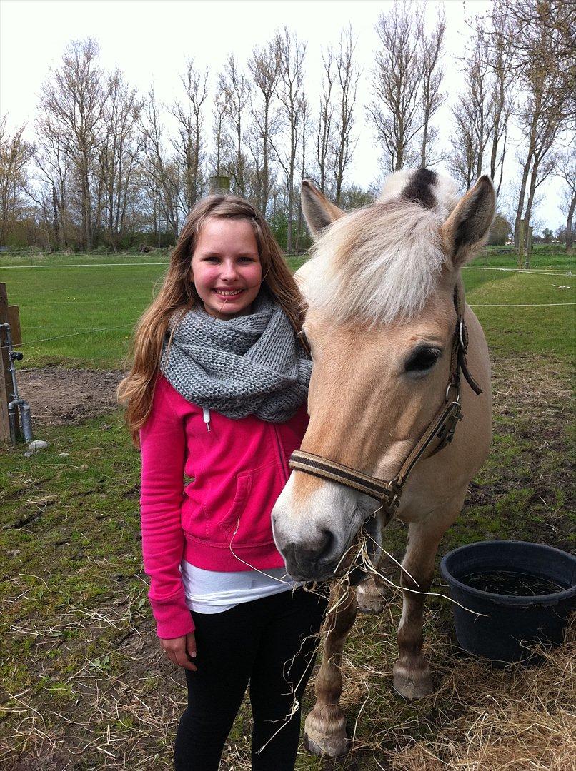 Fjordhest Prins - Hihihi basse dog <3 billede 2