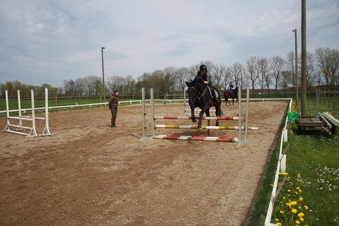 Oldenborg Cille af Casmaslund billede 14