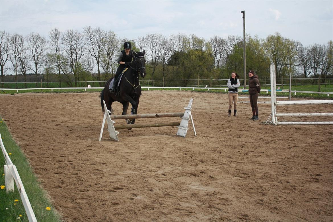 Oldenborg Cille af Casmaslund billede 17