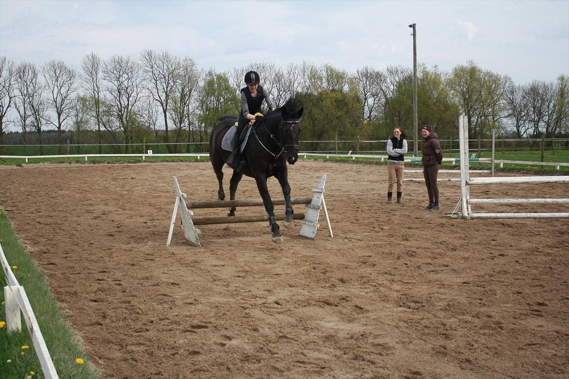 Oldenborg Cille af Casmaslund billede 18