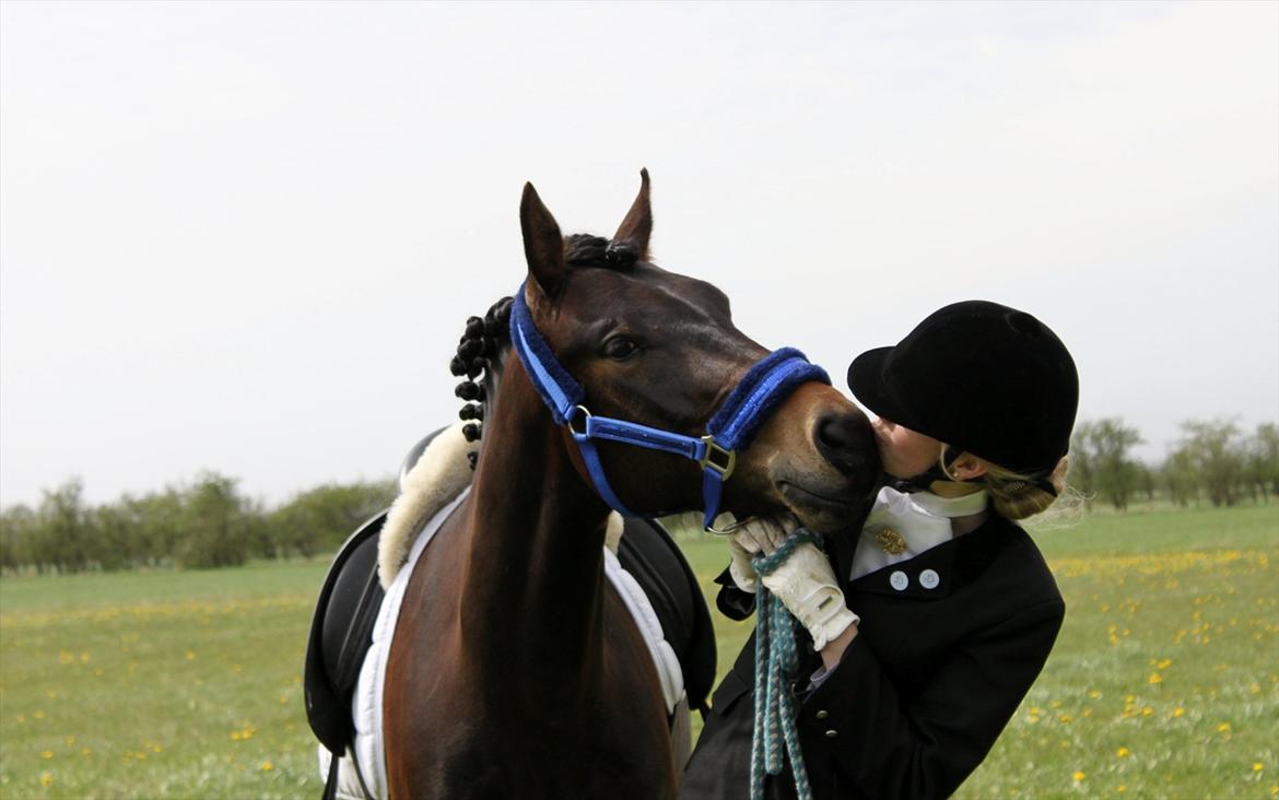 New Forest *Lillevang Carlos* - Jeg elsker dig!
 billede 3