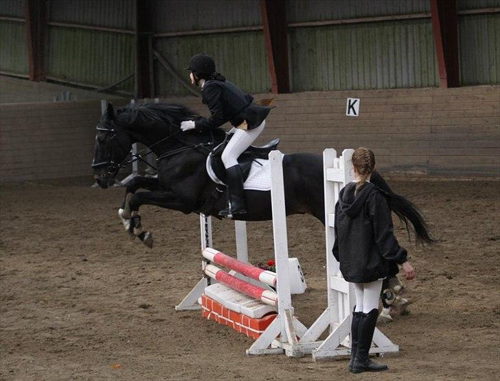 Dansk Varmblod Sazkibard S - MinShishKebab<3 - 29/4-12 - Første springstævne på Sazkibard. 60 cm - fejlfri med tiden 39,9.
Vi fik en flot 3. plads! Er SÅ stolt af dig :')
Foto: Amalie Reffelt<3 billede 7